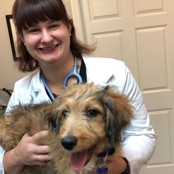 Our Patients | Middlesex Veterinary Hospital